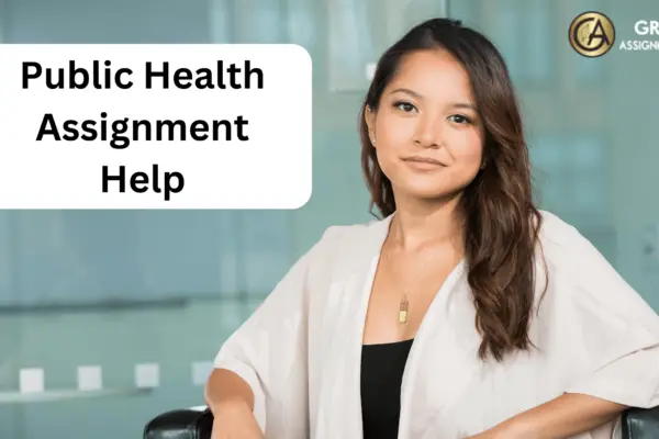 public health assignment help