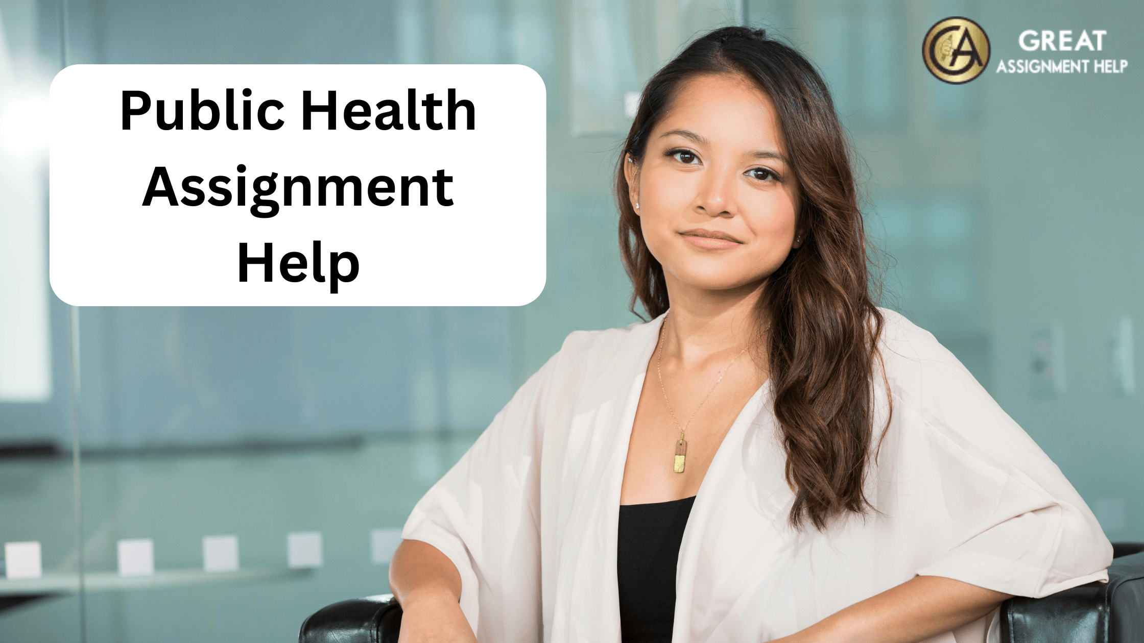 public health assignment help