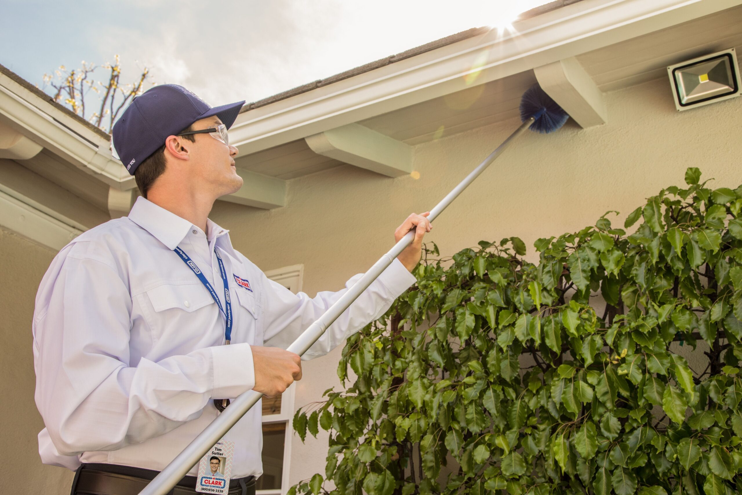 Termite Control Services and Guide Bed Bug Spray Services